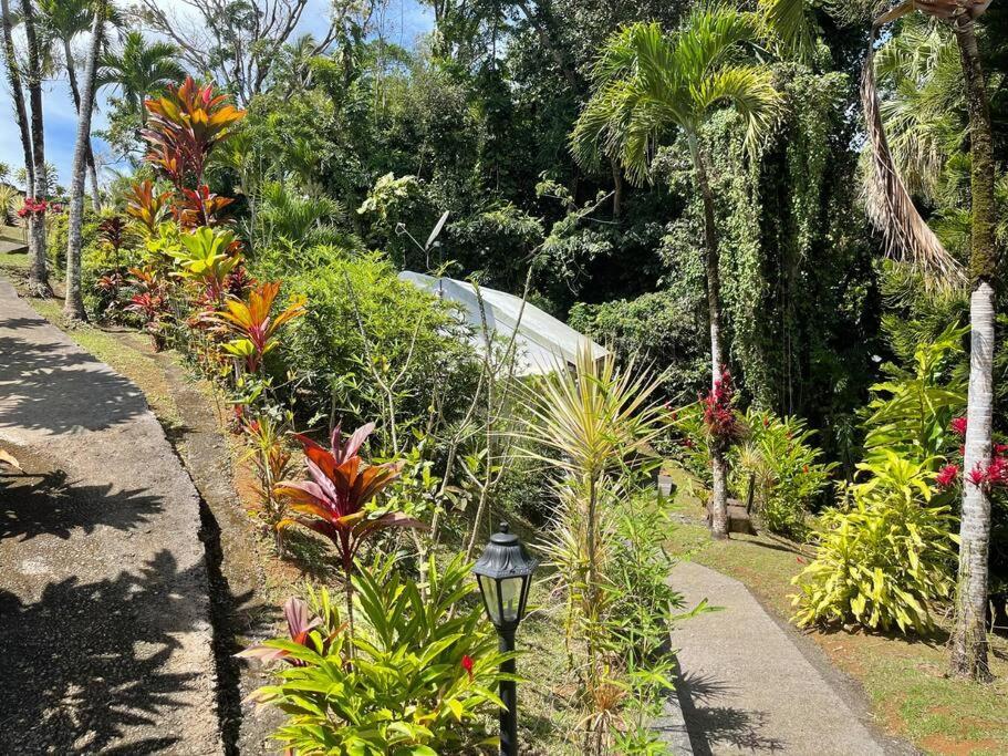 Villa Jardin Secret à Petit-Bourg Extérieur photo